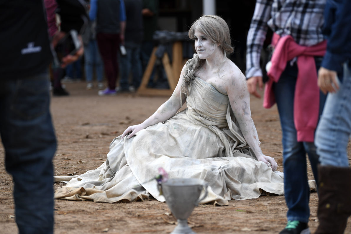 Texas Renaissance Festival
